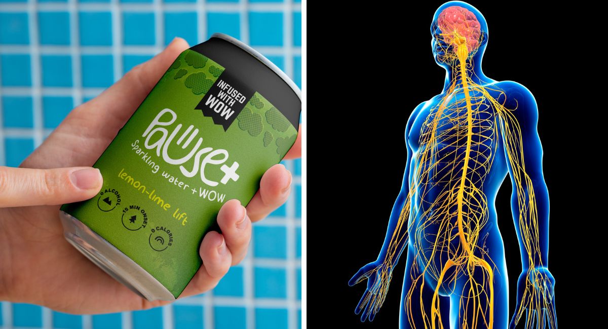 How Long Do THC Seltzers Last in Your System?